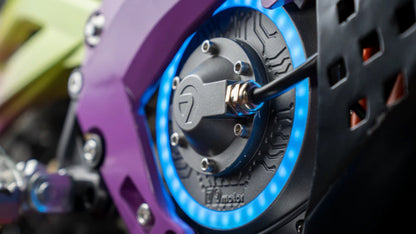 79BIKE Falcon Pro Electric Off-Road Bike